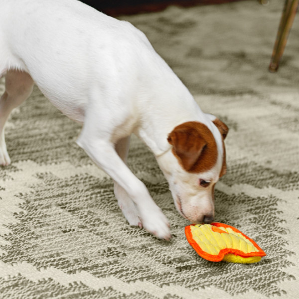 Durablez Mini Plush Dog Toy - Image 34