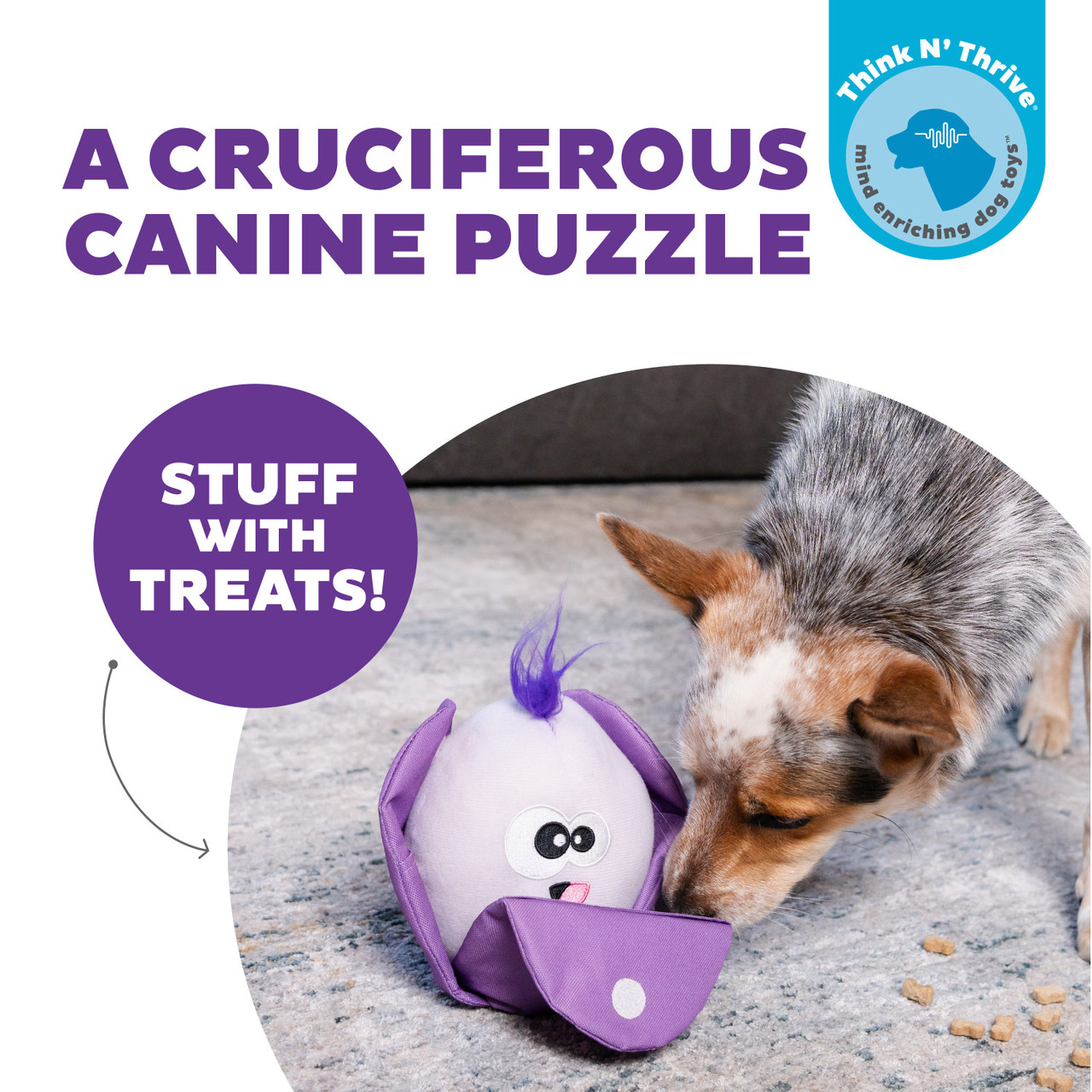 Hide N' Find Interactive Plush Dog Puzzle - Image 2