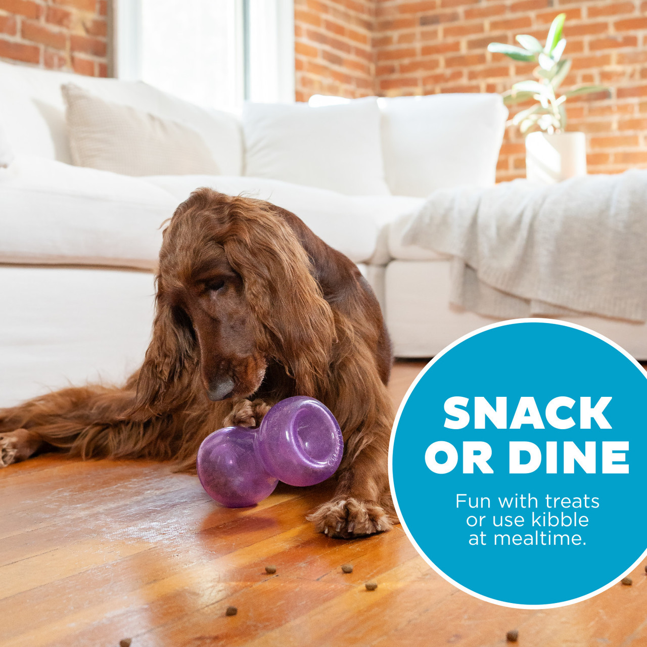 Double Snoop Interactive Treat Stuffer Dog Toy, Purple - Image 5