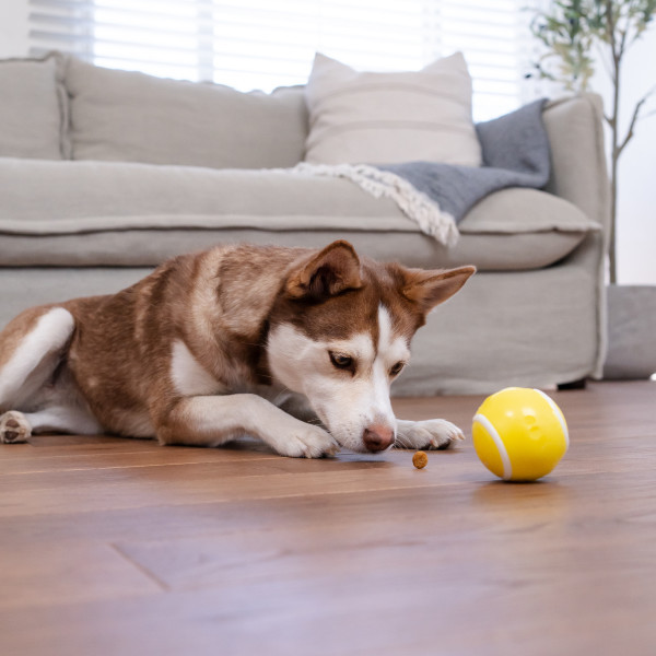 Orbee-Tuff Tennis Ball Treat-Dispensing Dog Chew Toy, Yellow - Image 6
