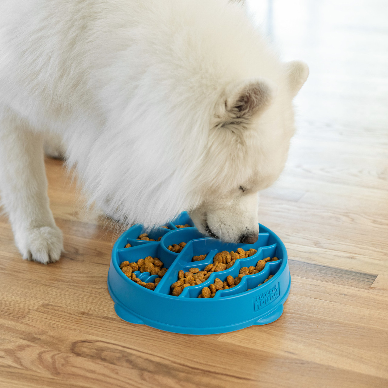 Fun Feeder Mountain Blu LG - Image 6