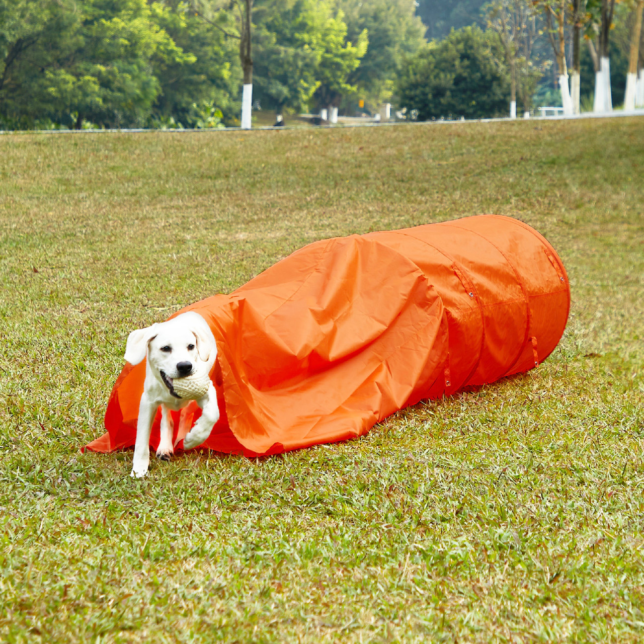 Zip & Zoom Closed Dog Agility Tunnel, Orange - Image 5