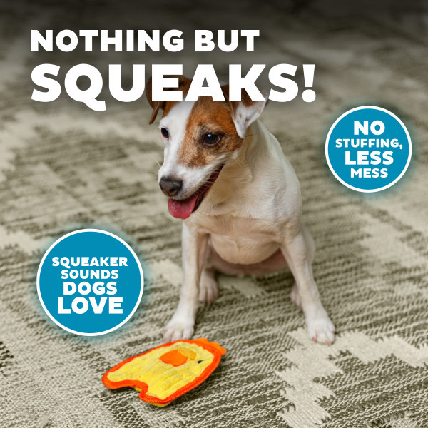 Durablez Mini Plush Dog Toy - Image 33