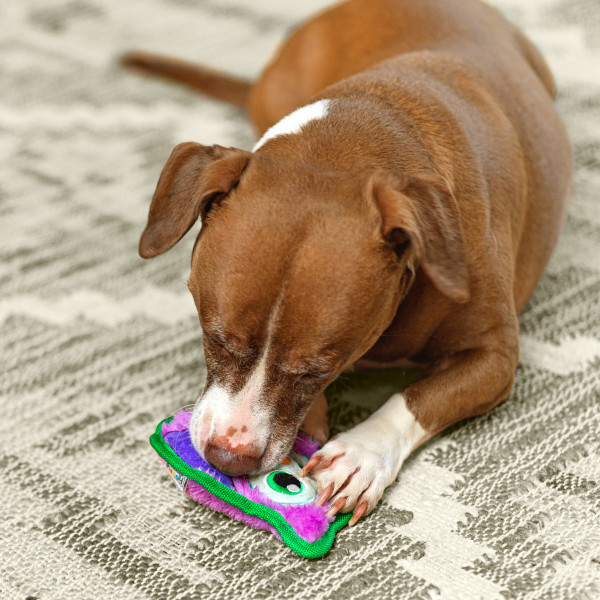 Durablez Mini Plush Dog Toy - Image 14