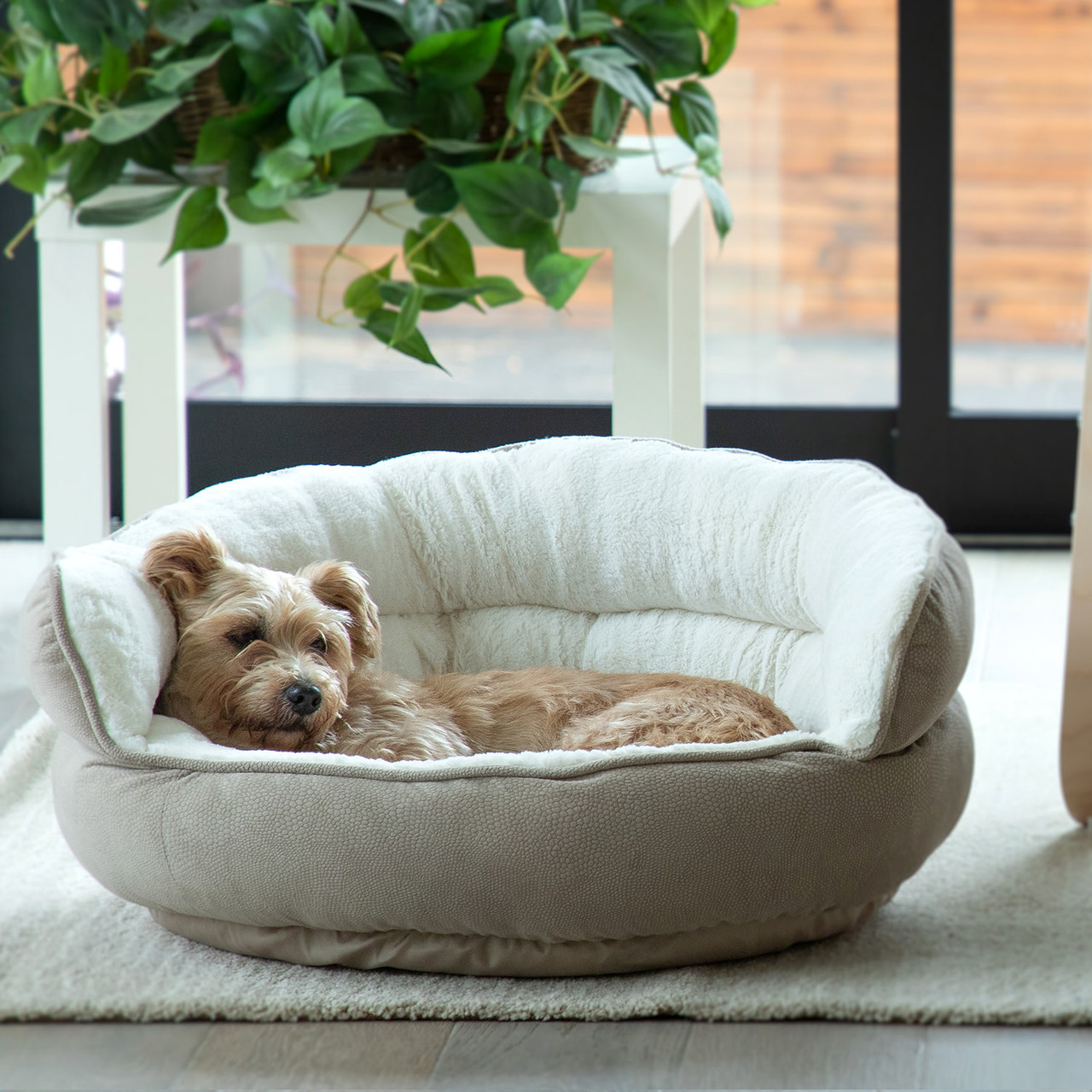 Ilan Throne Cat & Dog Bed, 27x26 - Image 14