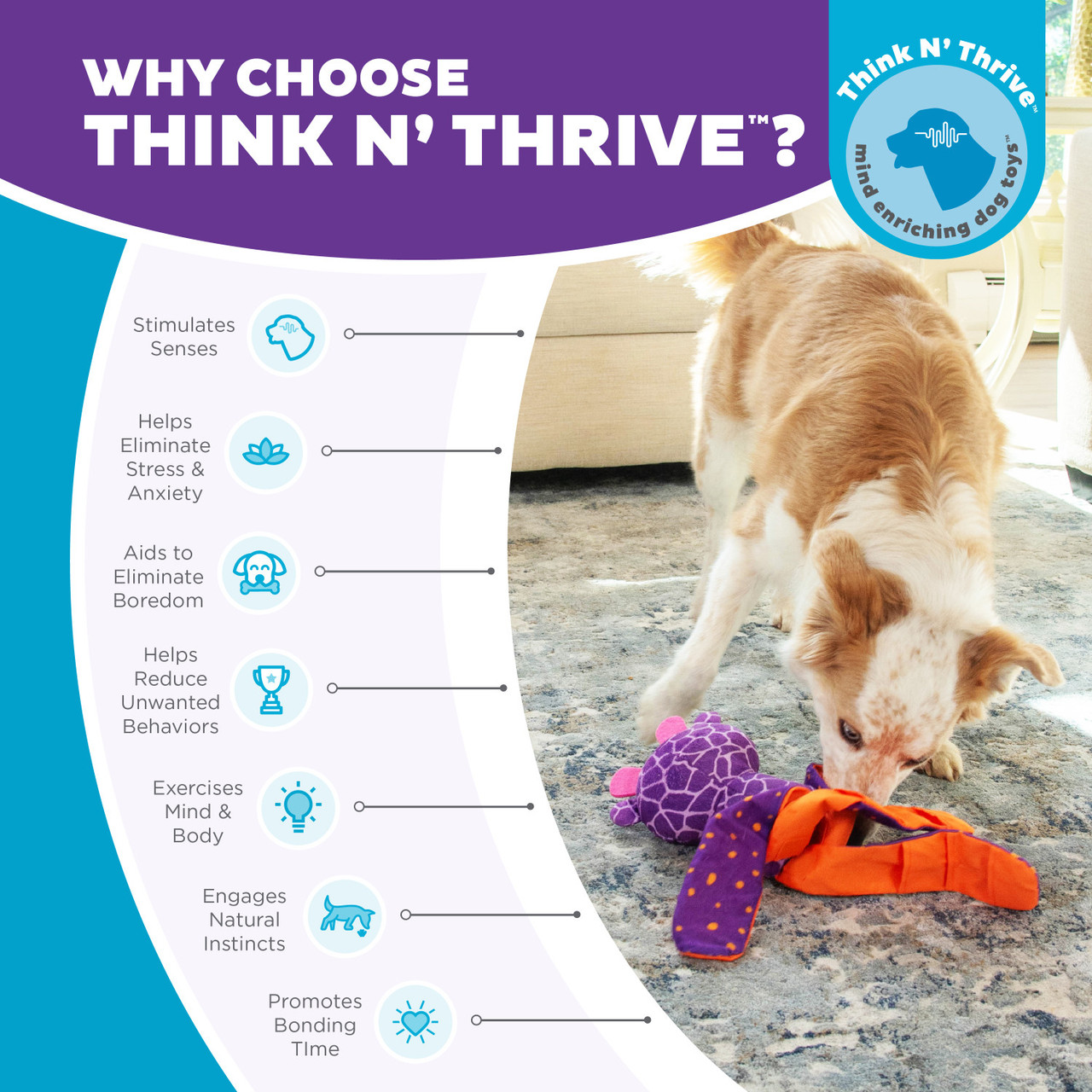 Silly Legz Interactive Plush Dog Puzzle , Purple - Image 6