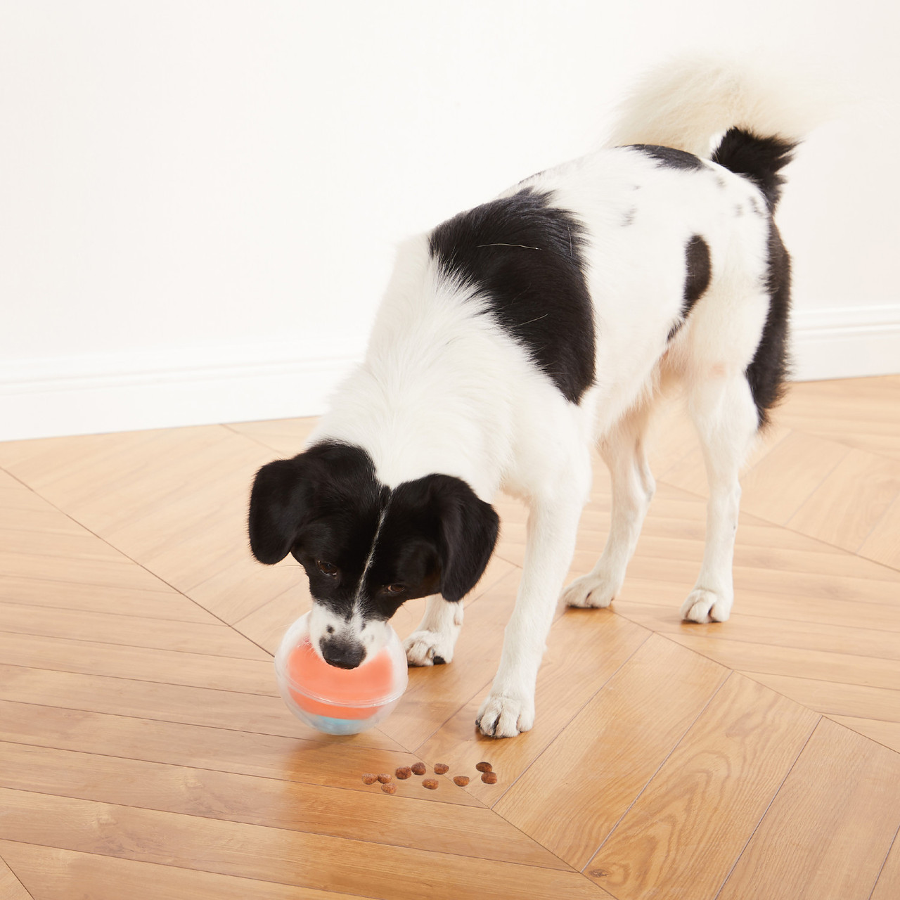 Dog Rumble Puzzle Interactive Dog Ball Puzzle, Orange - Image 7