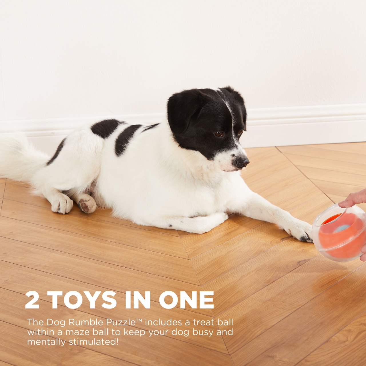 Dog Rumble Puzzle Interactive Dog Ball Puzzle, Orange - Image 2