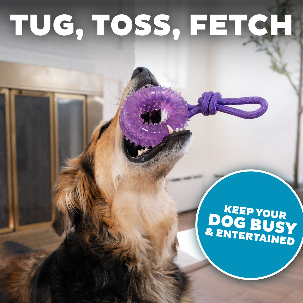 2-in-1 Dental Chew Wheel Dog Chew Toy and Tug Toy, Purple - Image 2