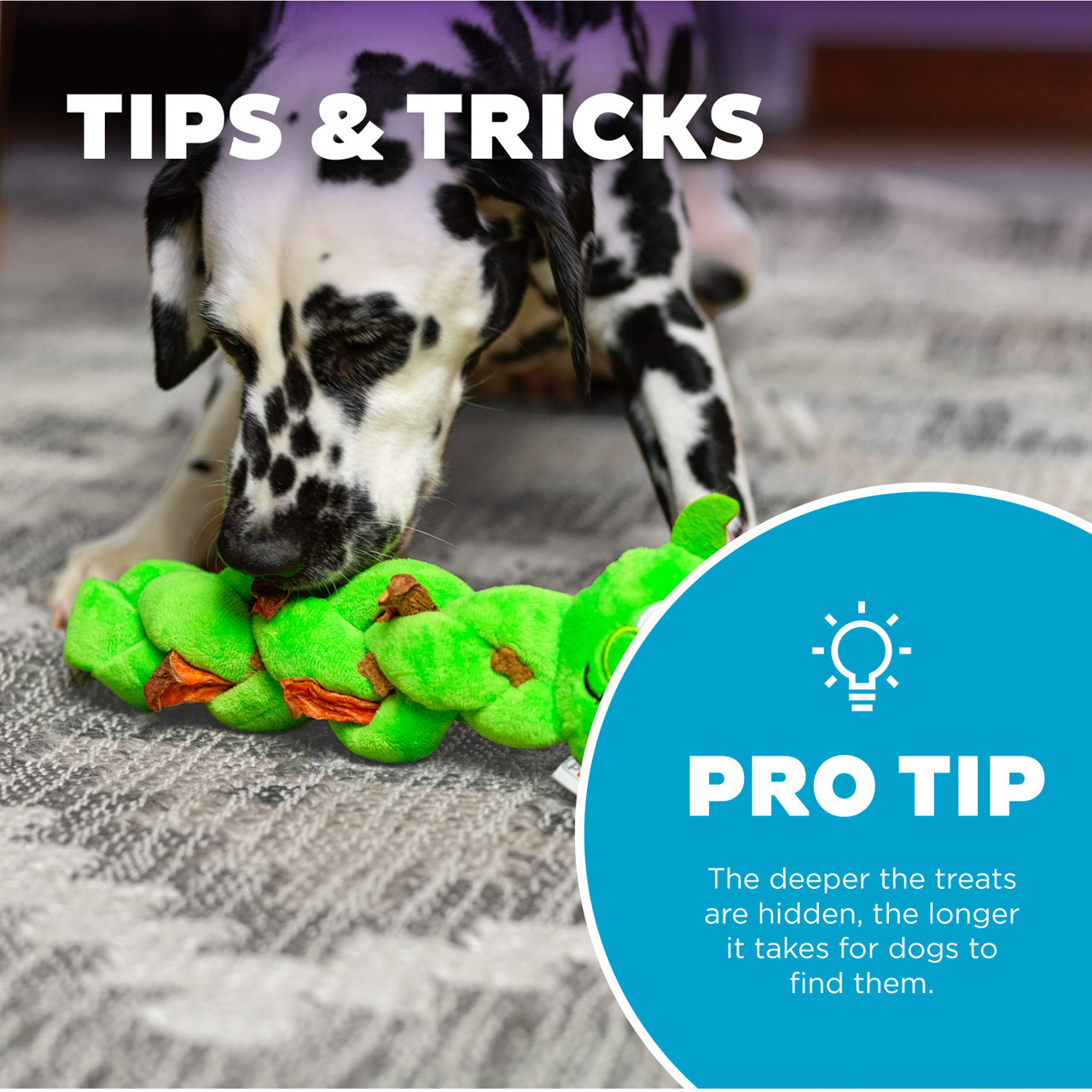 Twistiez Interactive Plush Dog Puzzle, Green, Small - Image 5