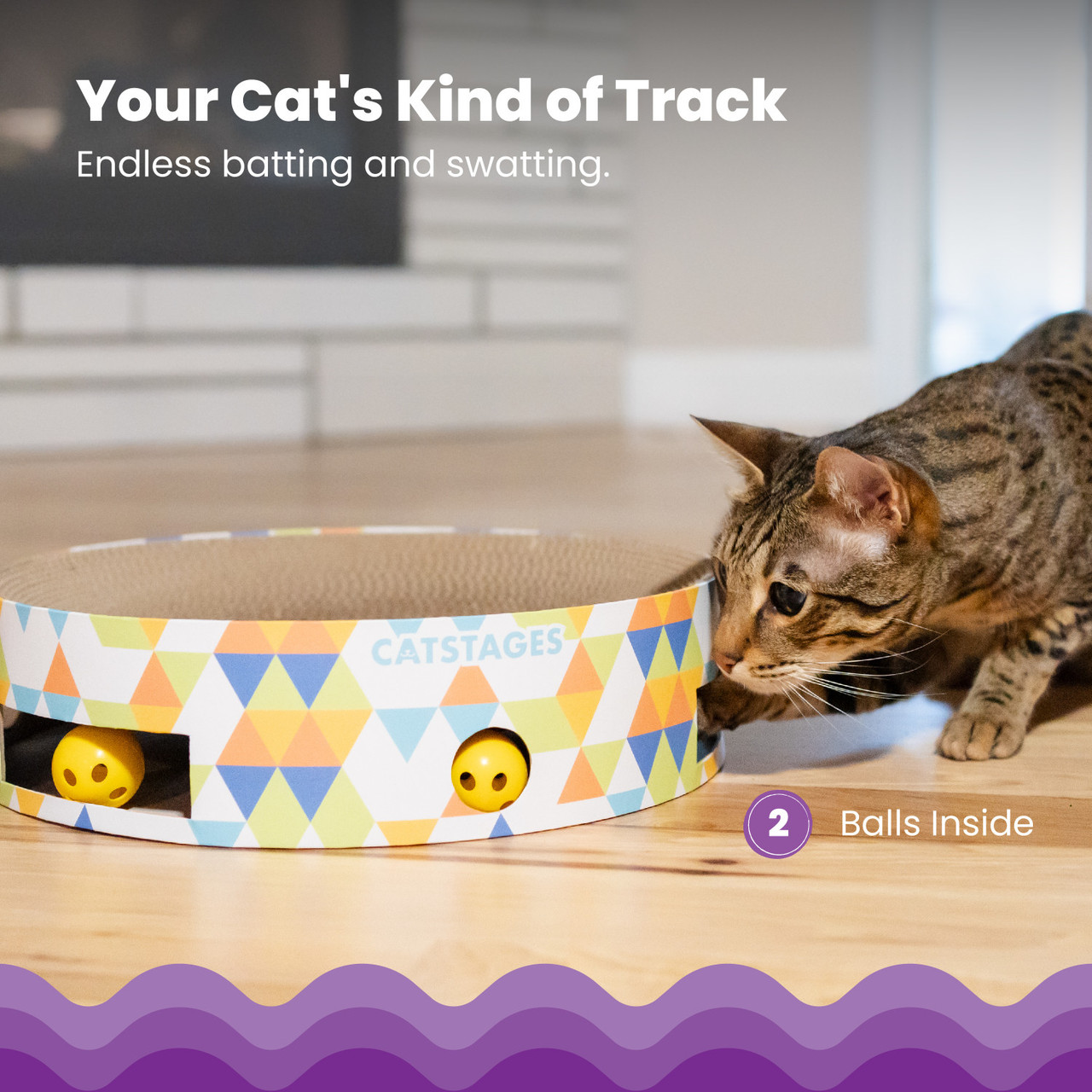 Bowl Track Scratcher Cat Ball Track, Multi - Image 4