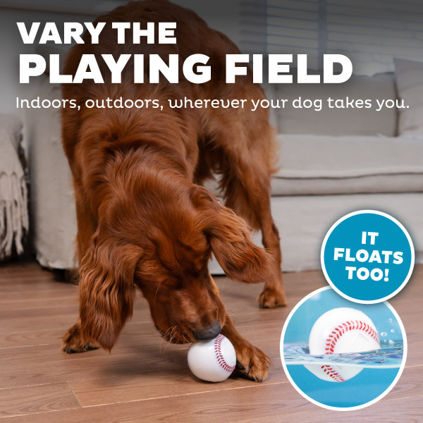 Orbee-Tuff Baseball Treat-Dispensing Dog Chew Toy, White - Image 5