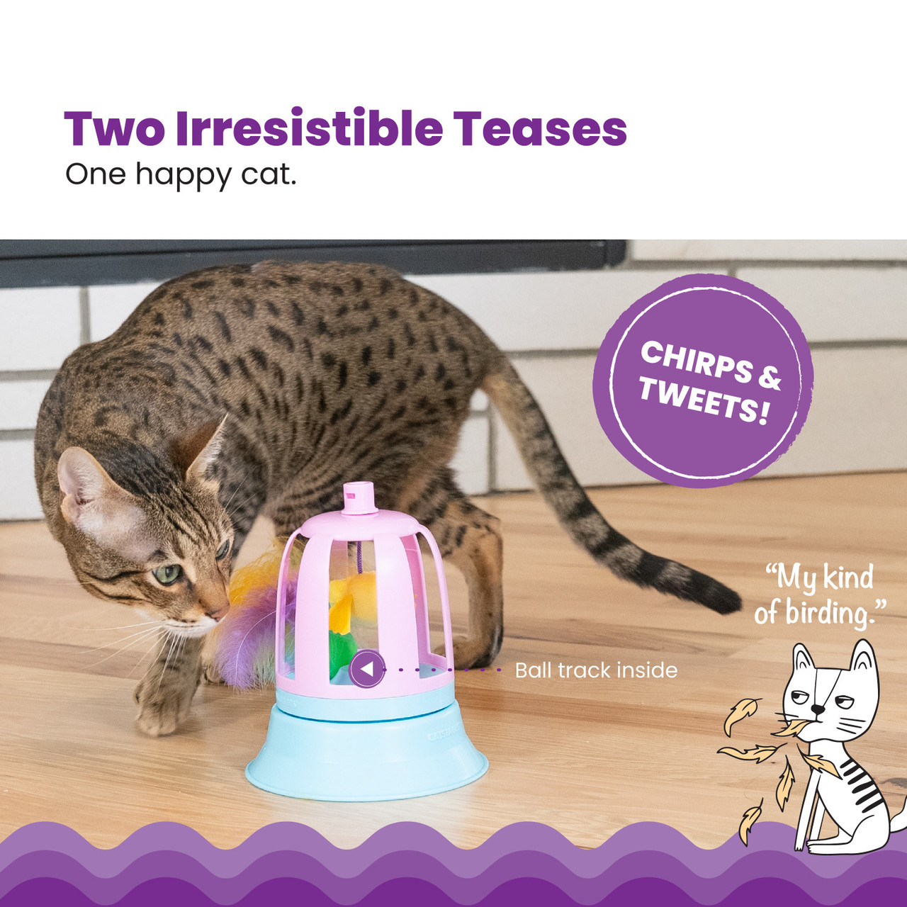 2in1 Track Topper Chirping Bird Toy - Image 2