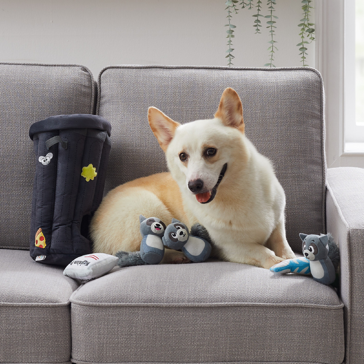 Hide A Raccoon Plush Dog Toy Puzzle, Grey - Image 6