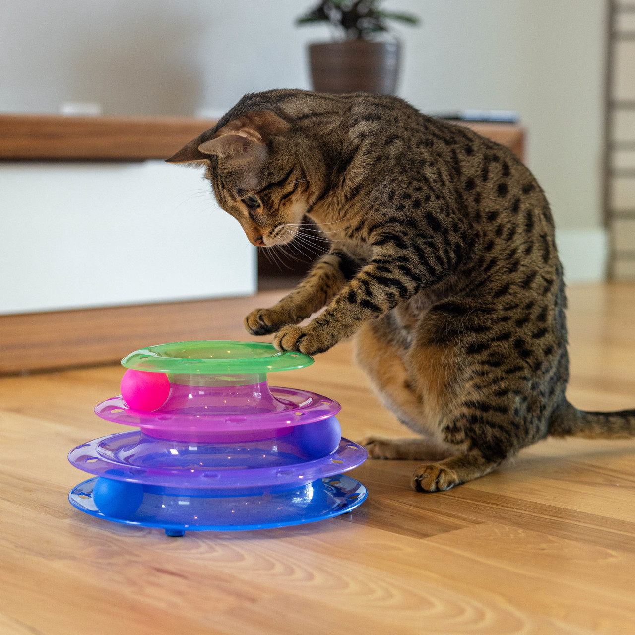 Meowsome™ Tower of Tracks® - Image 2