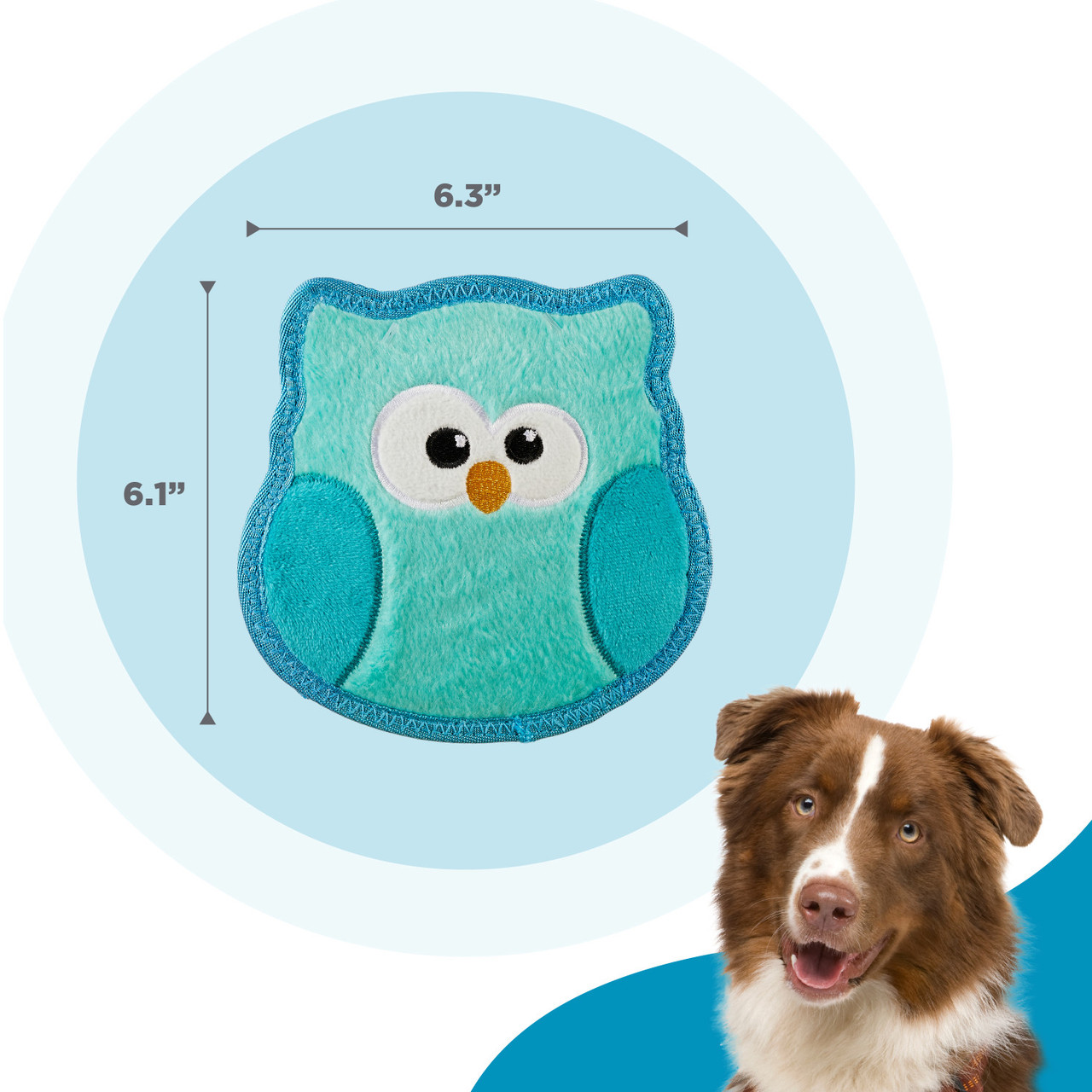 TS Owl Trq SM - Image 3