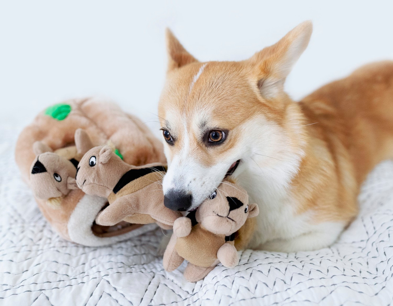 Hide A Toy Plush Puzzle Toy - Image 7