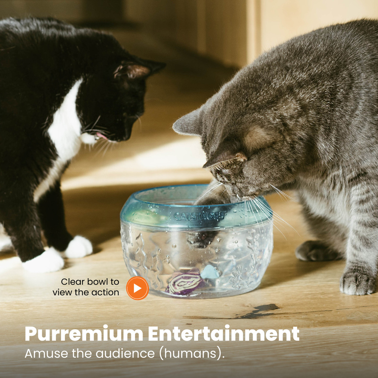 MEOW-SMERIZING™ Fish Bowl Cat Toy - Image 6