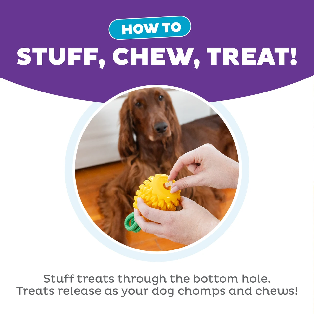 Dental Pineapple Dental Chew Toy and Interactive Treat Stuffer, Yellow - Image 4