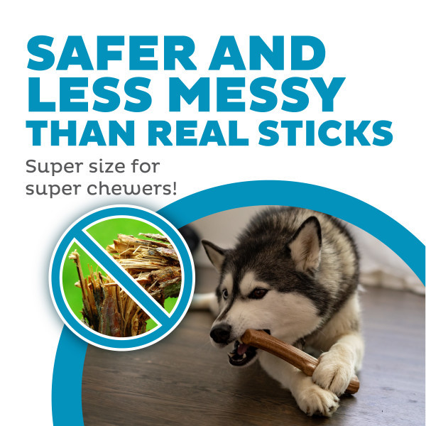 Super Dogwood Dog Chew Toy - Image 2