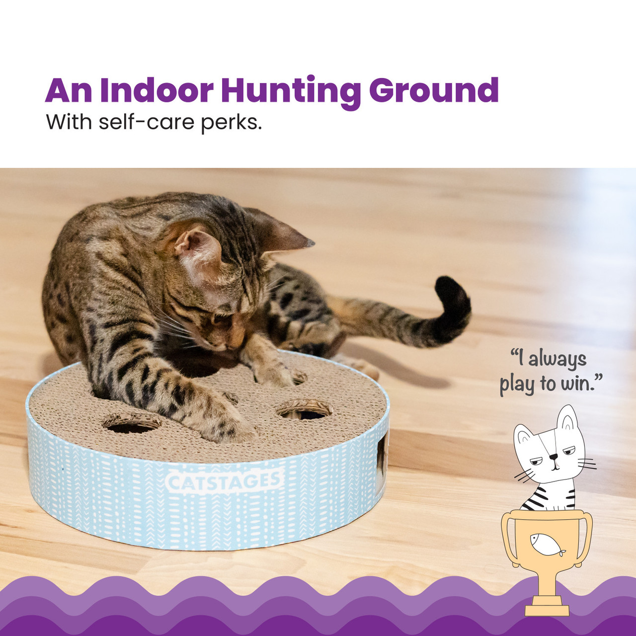 Scratch N' Hunt Puzzle Cat Toy, Blue - Image 2