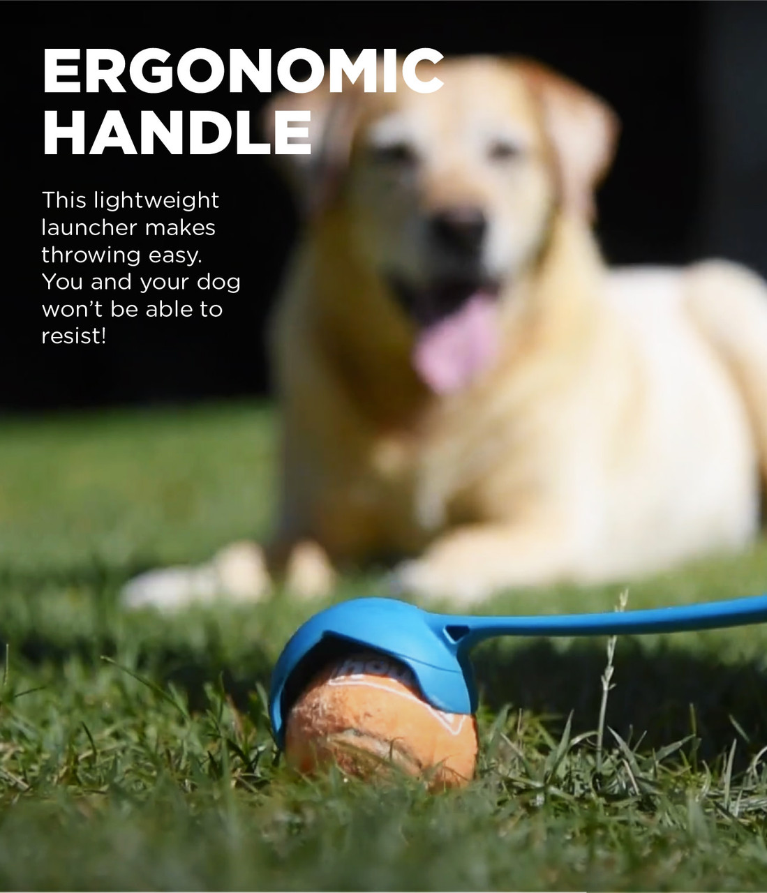 Launch A Ball Dog Ball Launcher, Turquoise - Image 4