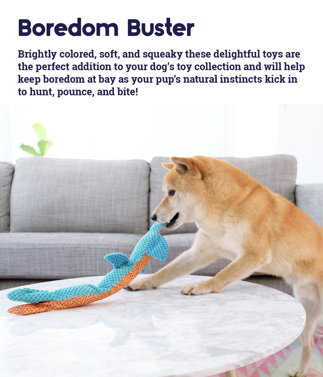 Stuffing-Free Big Squeak Plush Dog Toy - Image 4
