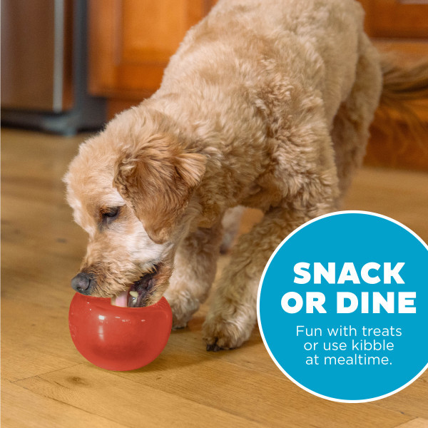 Orbee-Tuff Lil' Snoop Interactive Treat Dispensing Dog Toy, Red - Image 5