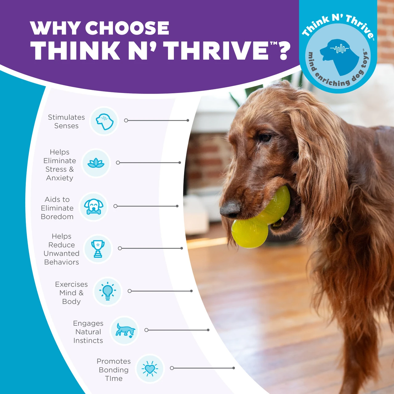 Double-Tuff Interactive Treat Stuffer Durable Dog Chew Toy, Large - Image 6