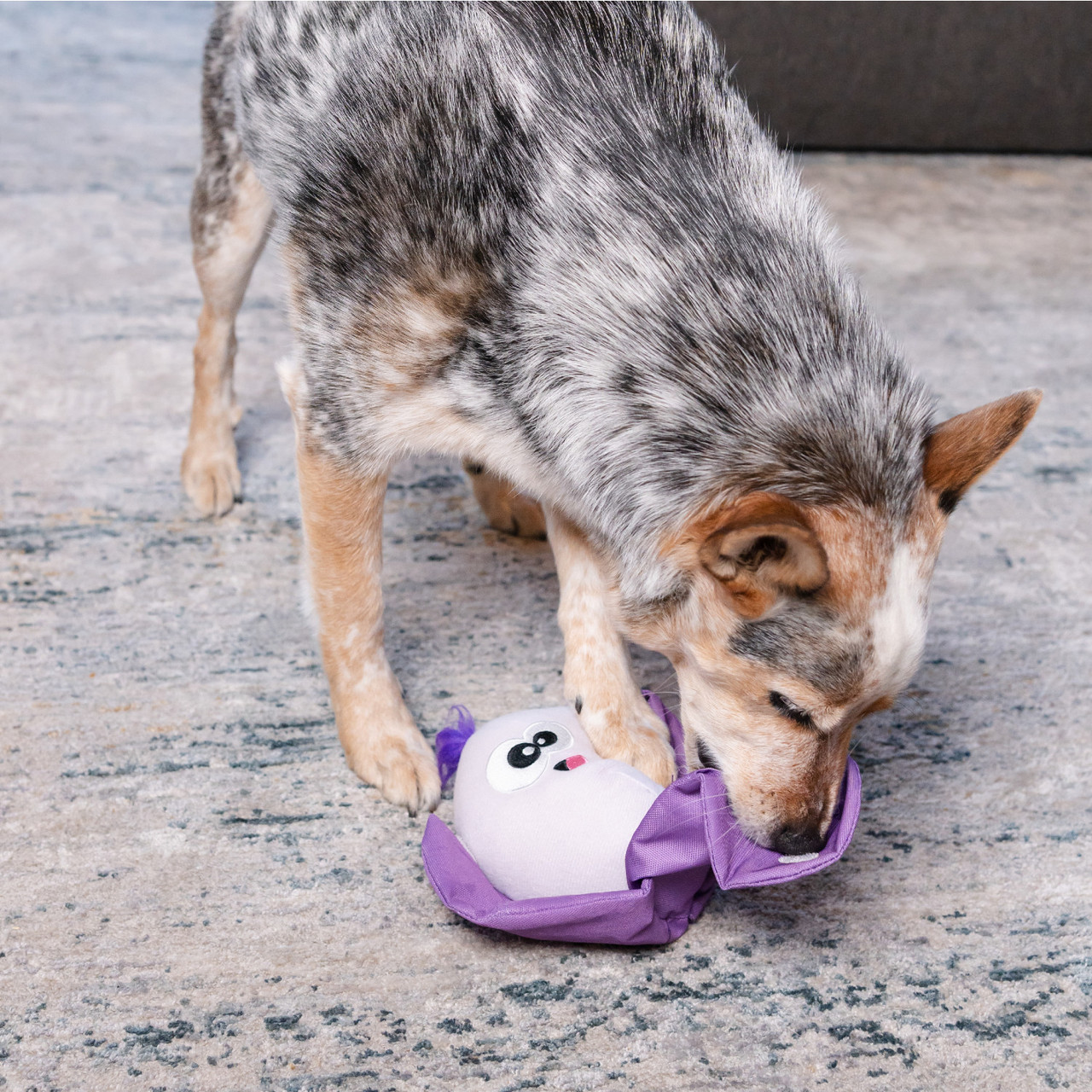 Hide N' Find Interactive Plush Dog Puzzle - Image 5