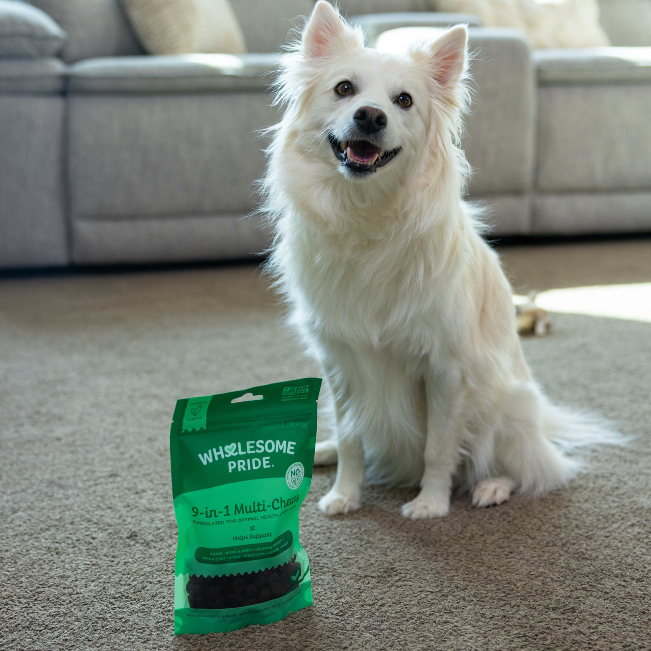 Wholesome Pride 9-in-1 Multi-Chews Supplement for Dogs 6.3oz - Image 3