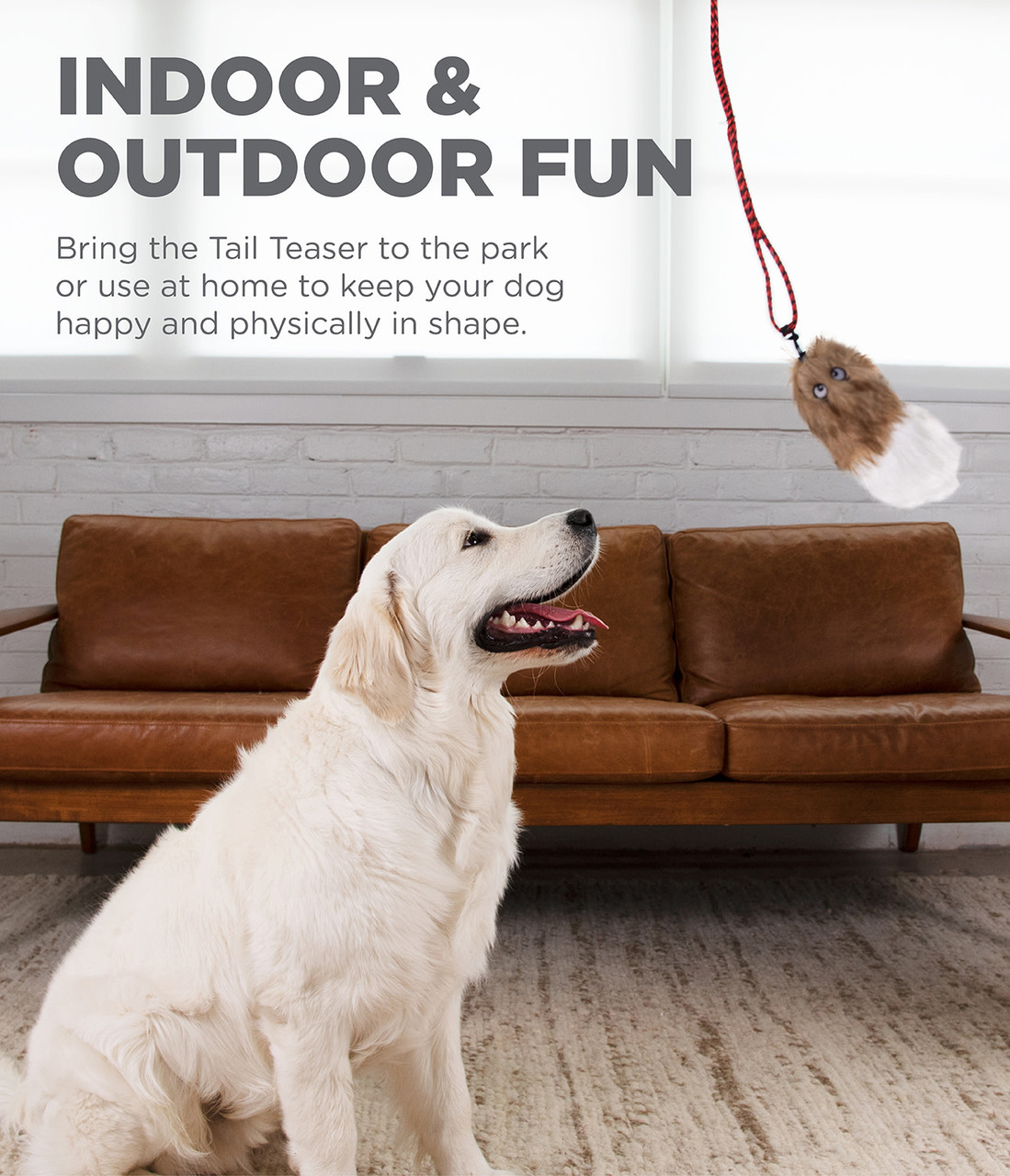 Tail Teaser Dog Wand Lure Toy - Image 19