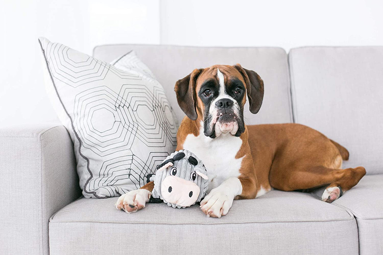Fattiez Sheep Plush Dog Toy, White, Medium - Image 5