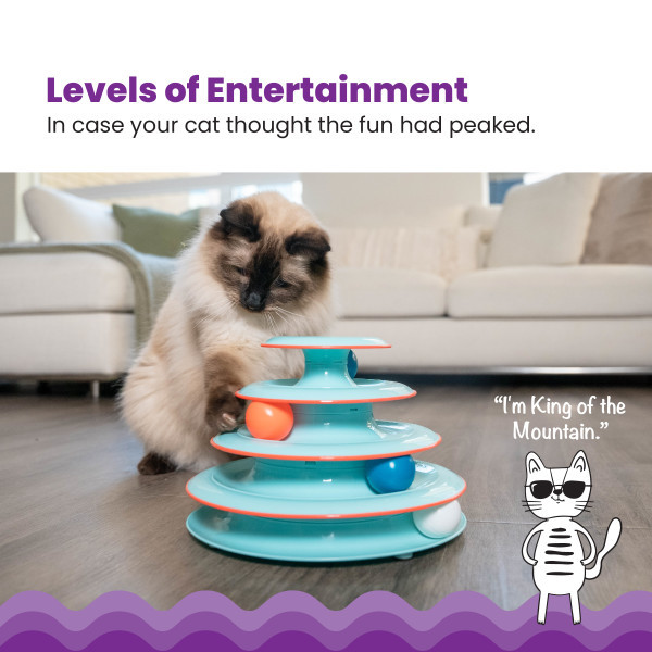 Chase Meowtain Cat Track Toy, Blue - Image 2