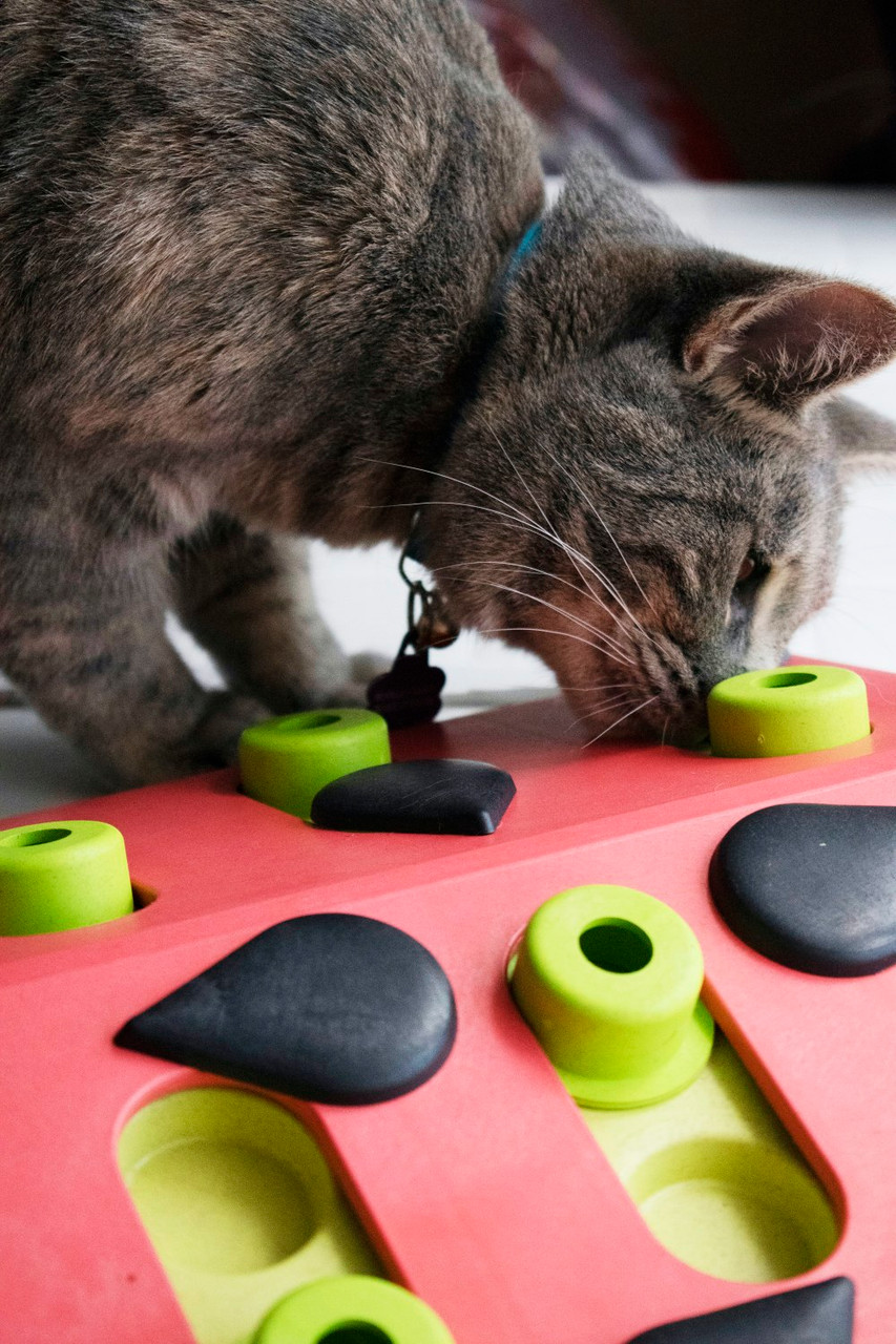 Melon Madness Puzzle & Play Cat Game, Pink - Image 7