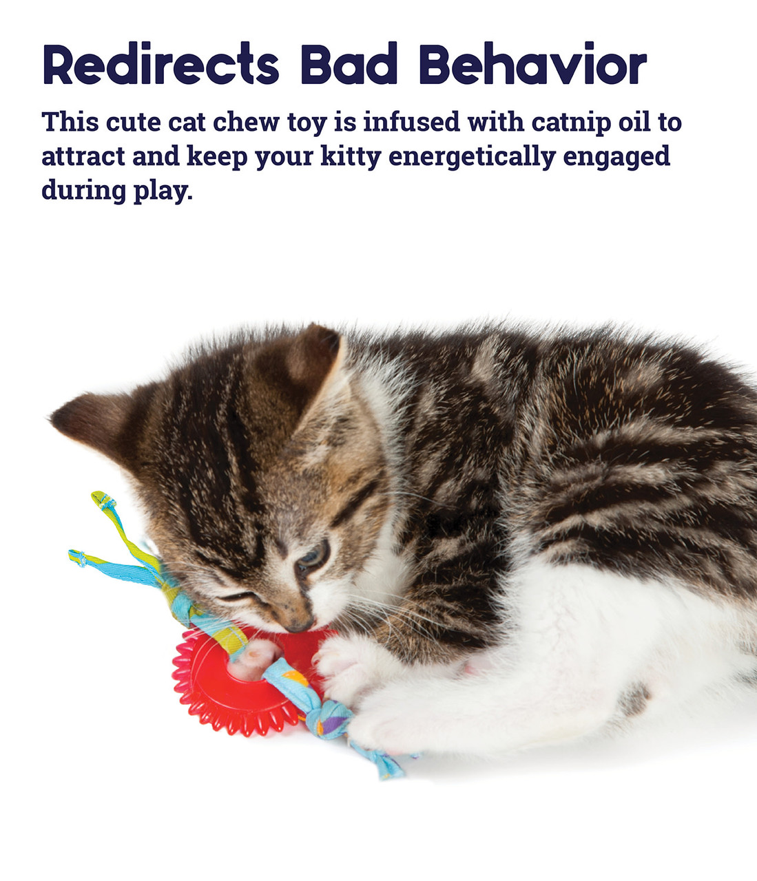 Dental Kitty Chew Wheel Cat Toy, Multi - Image 4