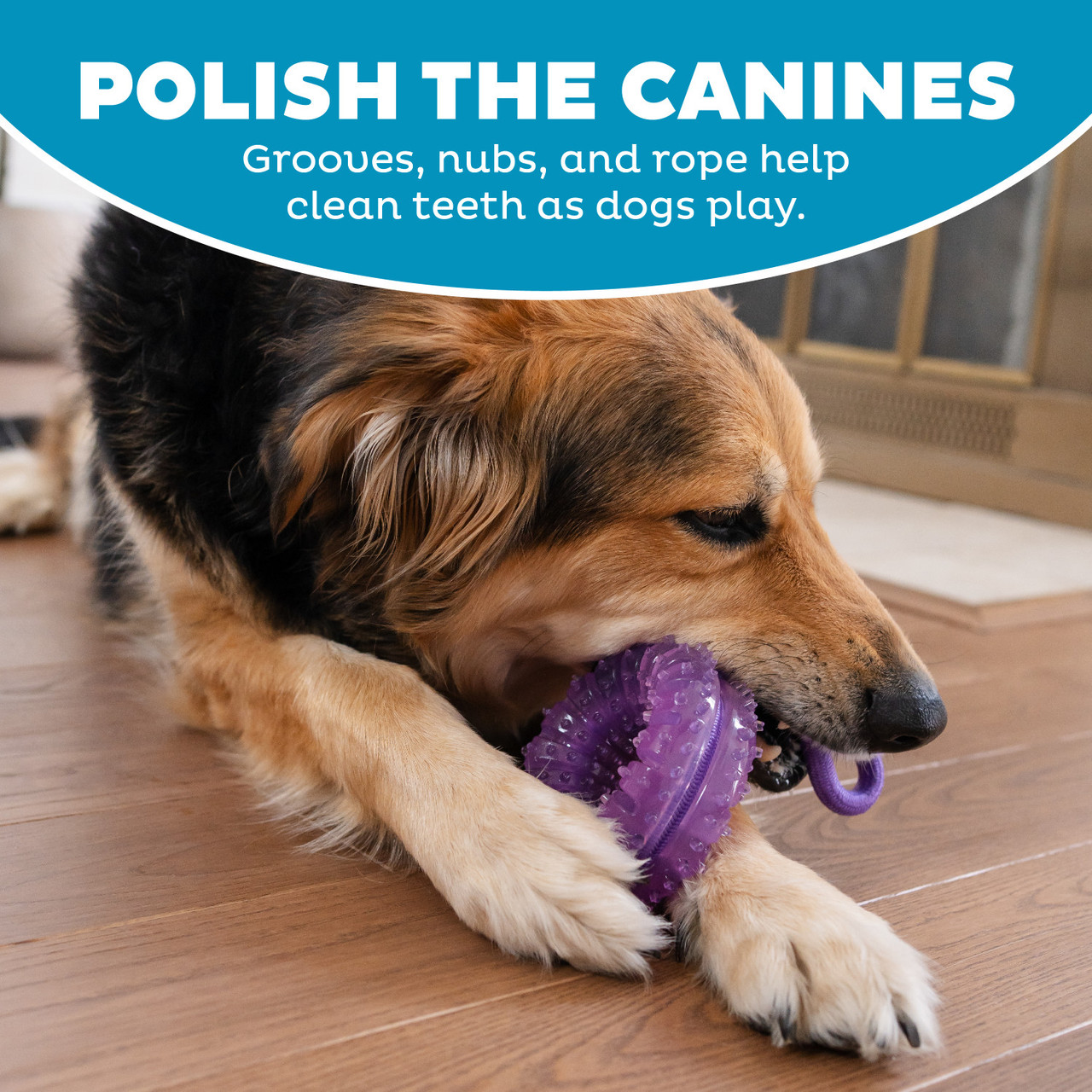 2-in-1 Dental Chew Wheel Dog Chew Toy and Tug Toy, Purple - Image 5