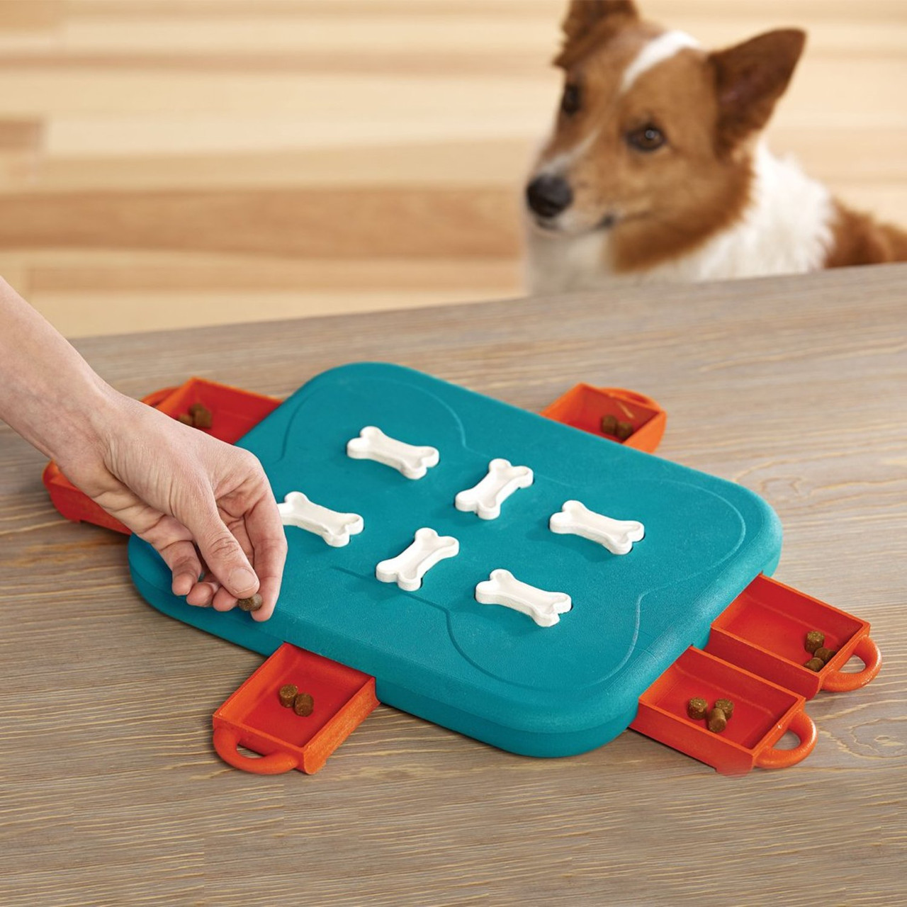 Dog Casino Interactive Treat Puzzle Dog Toy, Turquoise - Image 6