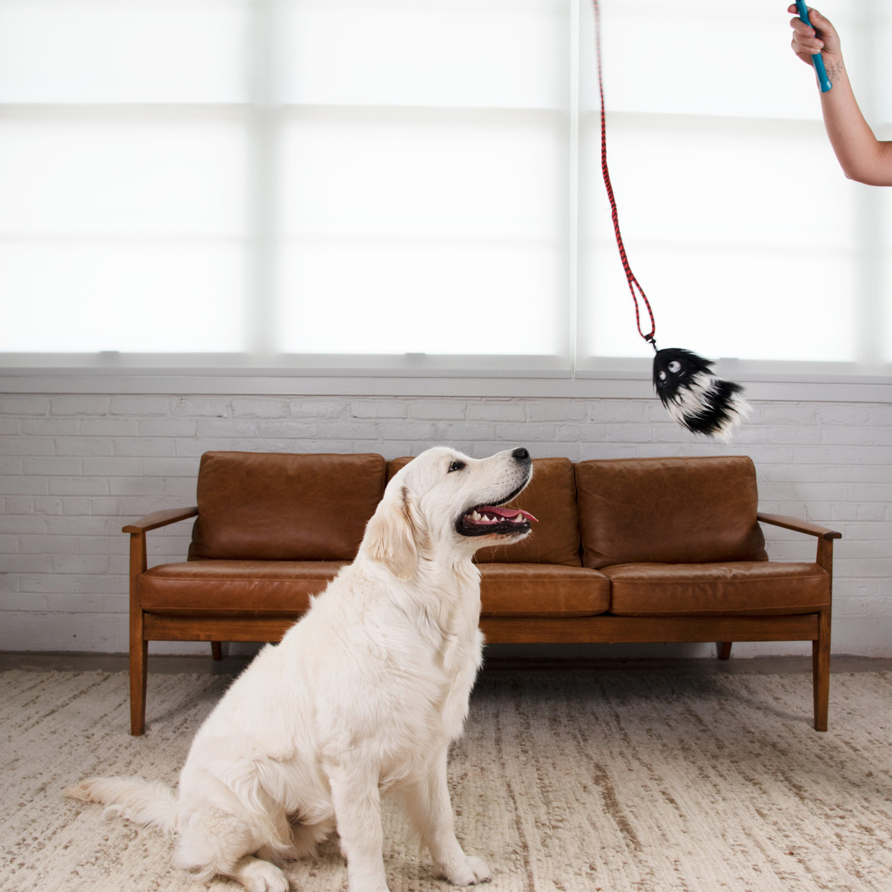 Tail Teaser Dog Wand Lure Toy - Image 15