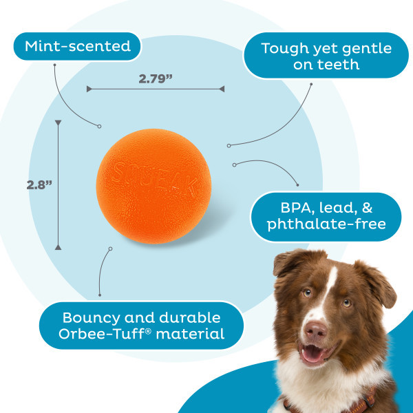 Orbee-Tuff Squeak Ball Dog Toy - Image 8