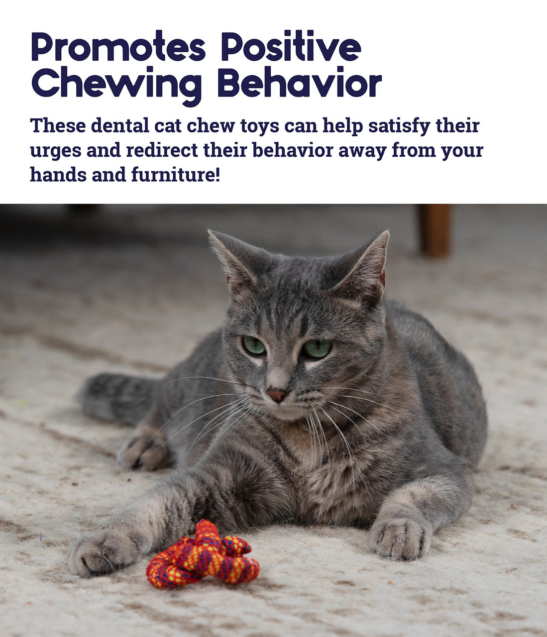 Catnip Plaque Away Pretzel Cat Chew Toy, Orange - Image 4