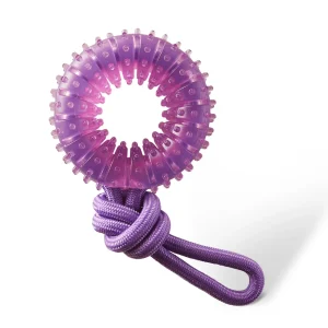 2-in-1 Dental Chew Wheel Dog Chew Toy and Tug Toy, Purple