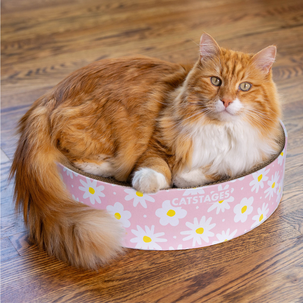 Scratch & Snuggle Daisy Pink - Image 3
