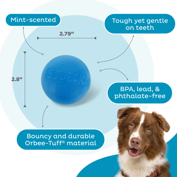 Orbee-Tuff Squeak Ball Dog Toy - Image 3