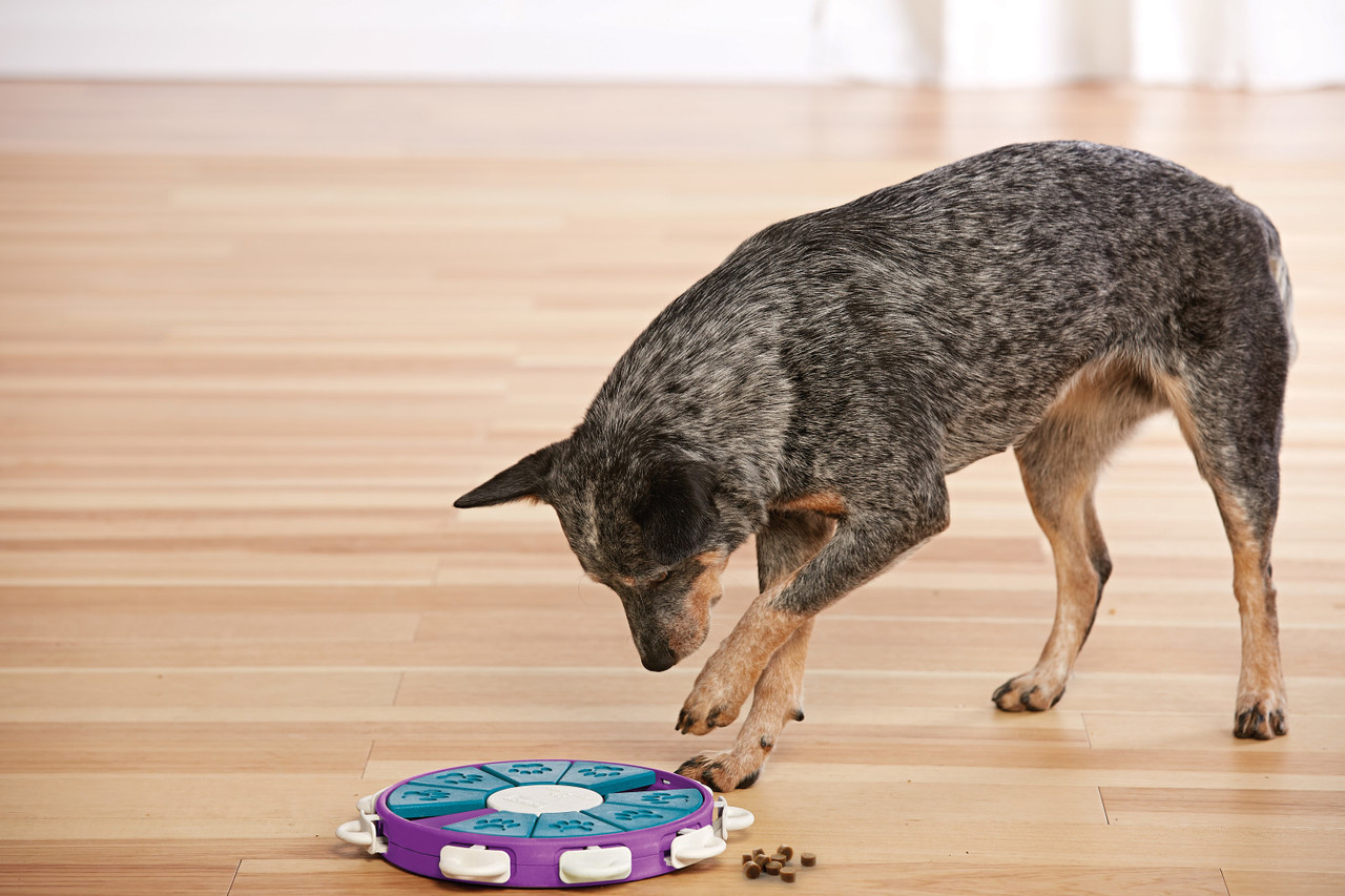 Dog Twister Interactive Treat Puzzle Dog Toy, Purple - Image 7