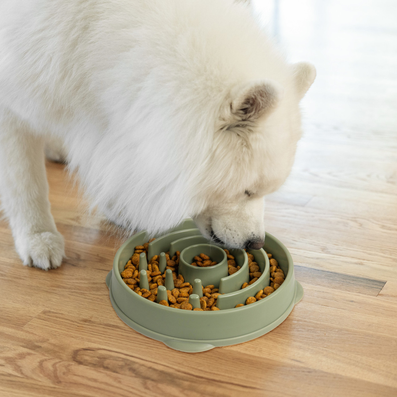 Fun Feeder Circle Sge LG - Image 4