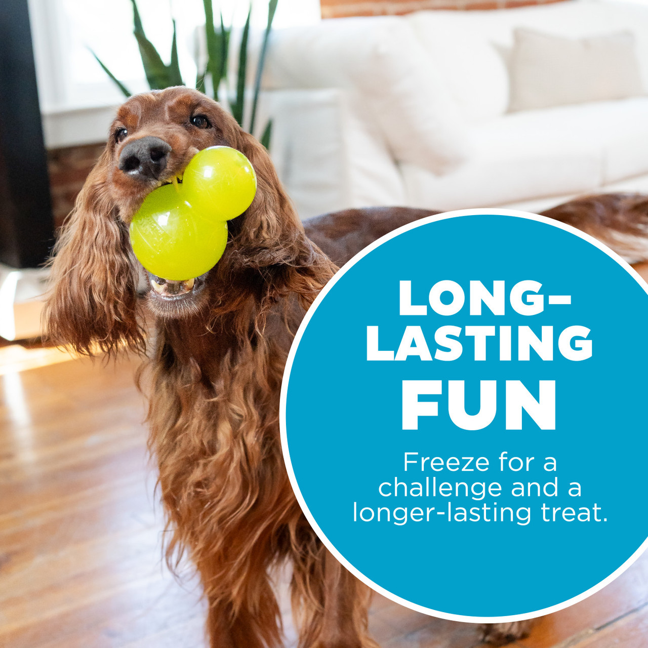 Double-Tuff Interactive Treat Stuffer Durable Dog Chew Toy, Large - Image 5