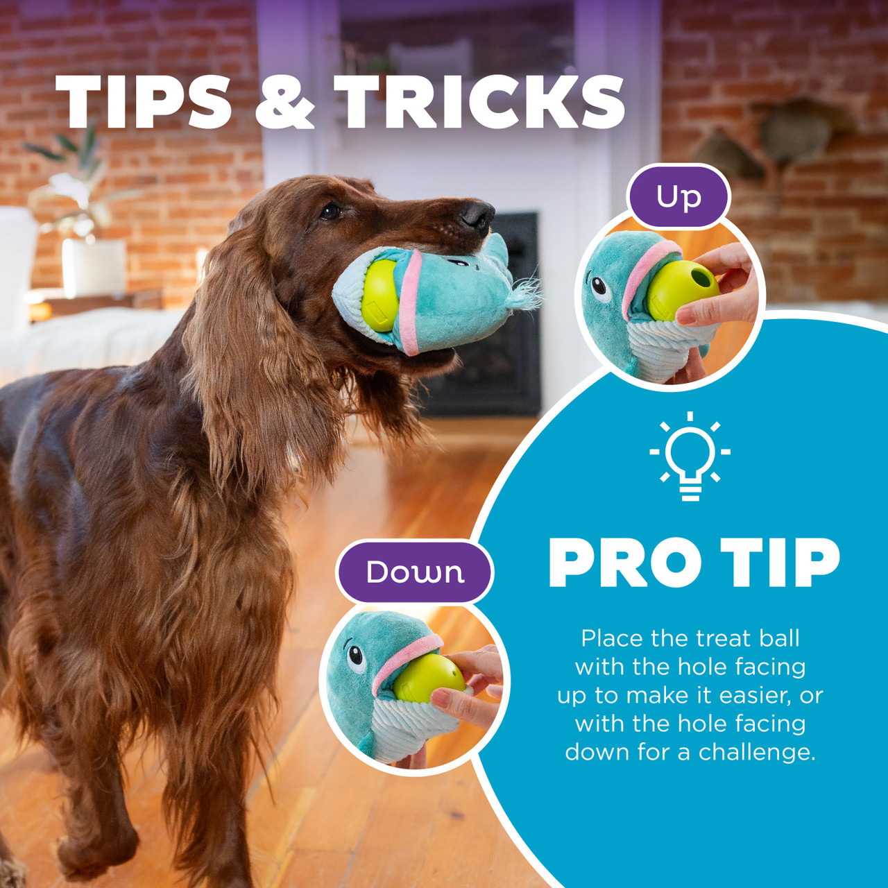 Big Mouthz Interactive Plush Dog Puzzle with Treat Ball, Blue - Image 5