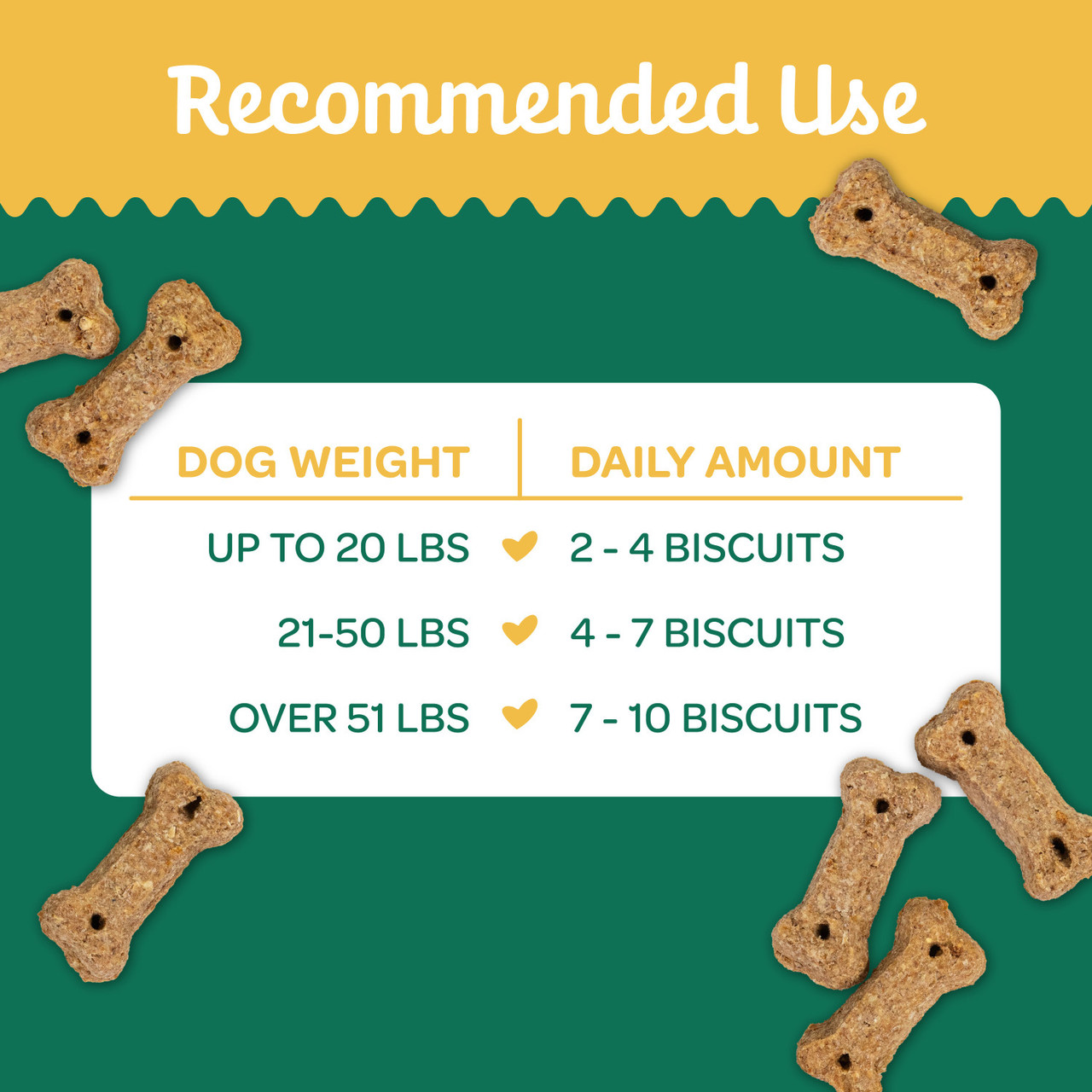 Wholesome Pride Nature's Biscuits Mini Dog Treats, Pumpkin, 16oz - Image 6
