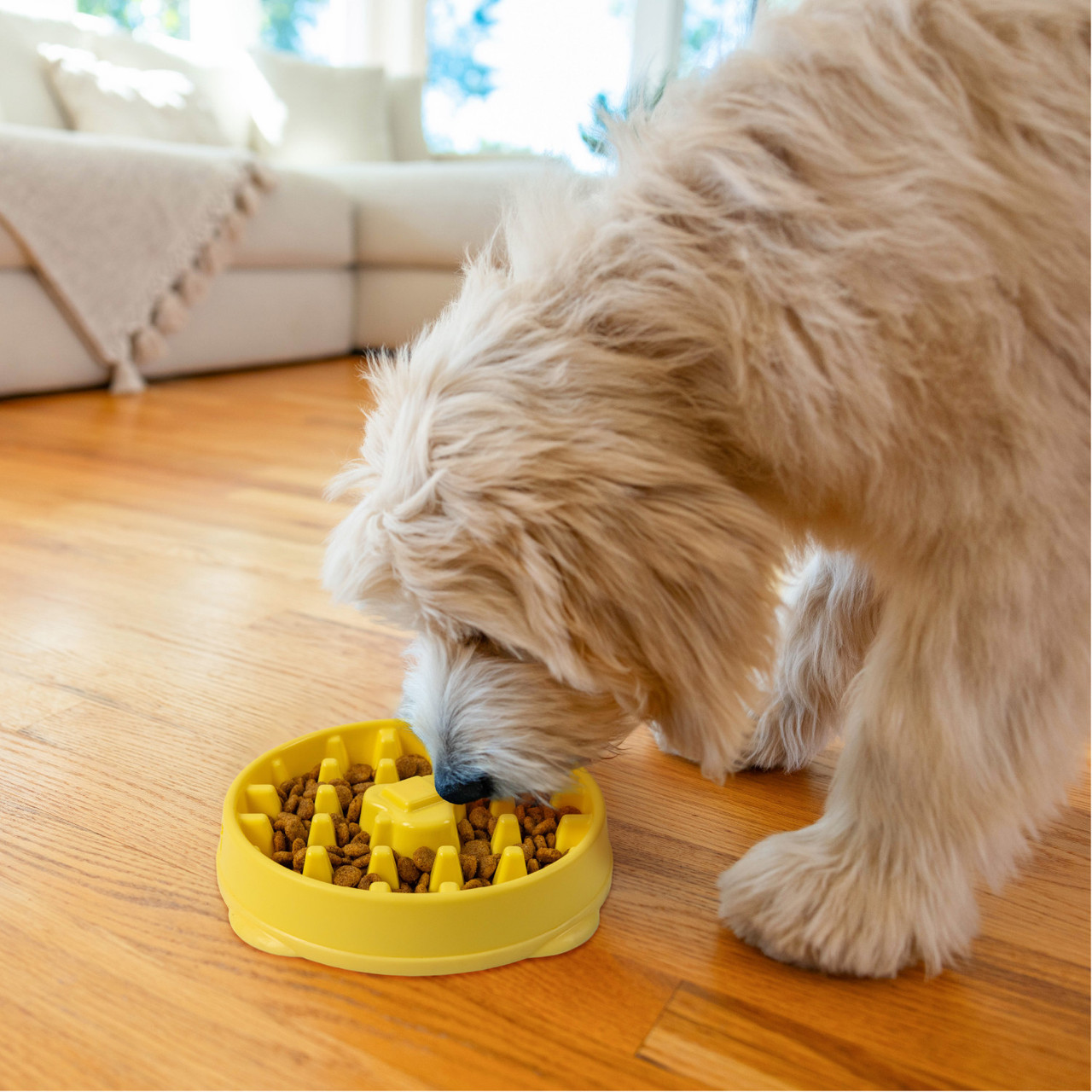 Fun Feeder Waffle Ylw MD - Image 6